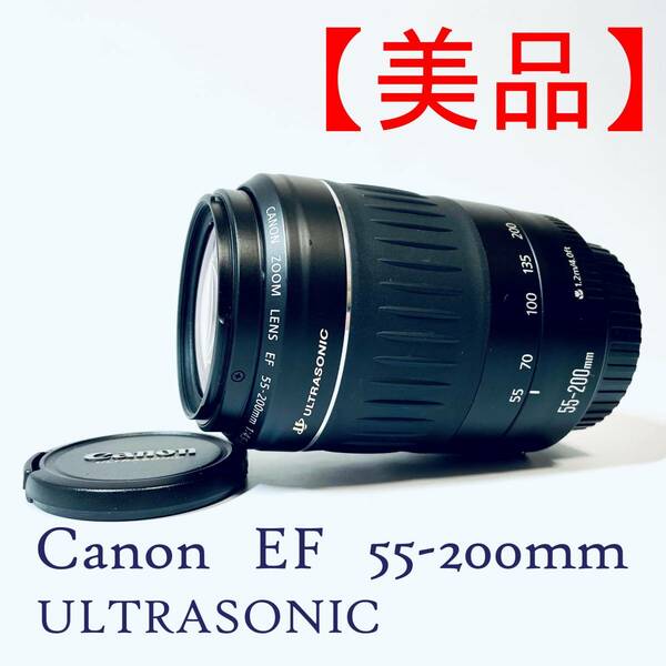 【美品】ズームレンズ Canon EF 55-200mm F4.5-5.6 Ⅱ USM 15417715