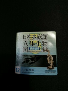 日本水族館立体生物図録　ガチャ　ペンギン