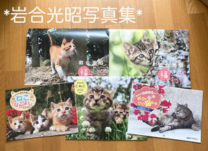  скала . свет . кошка фотоальбом материалы календарь 60 листов весна Sakura цветок природа за границей Япония сумма искусство интерьер 