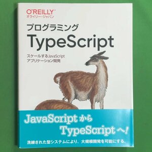 プログラミングTypeScript スケールするJavaScript アプリケーション開発 オライリー・ジャパン Boris Cherny/今村 謙士/原 隆文 2020年3月