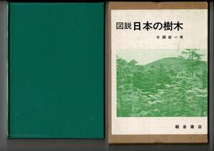 RJ324MU「図説日本の樹木」矢頭献一 、朝倉書店 、昭56 、B5判 176p 現地に生息している樹木の写真を収録