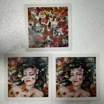 Siouxsie / Mantaray / CD / W14 Music / 173 995-6 限定盤　スージー・スー　スージー・アンド・ザ・バンシーズ_画像8