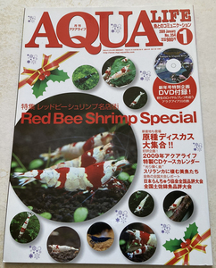 AQUA LIFE (アクアライフ) レッドビーシュリンプ ※付録DVD無し