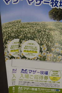 マザー牧場 入園招待券 １枚400円 4枚セット1600円 期限２０２４年3月３１日まで 