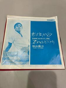 EPレコード　加山雄三　恋は紅いバラ　君が好きだから　宝塚映画「海の若大将」主題歌