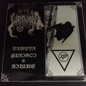 D01 中古LP 中古レコード THE TRRUE WERWOLF vampyr strigoi and rituals DA002 豪州盤 フィンランド ブラックメタル ダークアンビエントの画像1