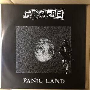 D01 中古LP 中古レコード Persevere Panic Land パーセビア ハードコア パンク