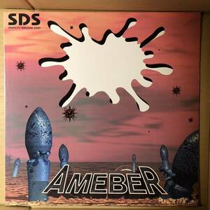 D01 中古LP 中古レコード SDS Ameber ハードコア パンク クラストコア