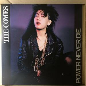 D01 中古LP 中古レコード The Comes Power Never Die カムズ ハードコア パンク