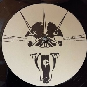 D01 中古LP 中古レコード DIRT black and white SKULD 027 2枚組 ドイツ盤 UKアナーコパンクの画像8