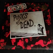 D01 中古LP 中古レコード　EXPLOITED punks is not dead UK盤　MAY LP 701 　7inch欠品　イエロービニール　UKパンク_画像1