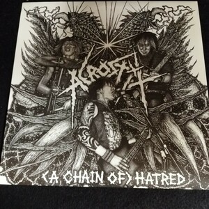 D01 中古LP 中古レコード　ACROSTIX (a chain of )hatred DARKNESA 016　US盤　ジャパニーズハードコア