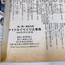 R7-W1/11 アイドルぐりぐり大事典　廃刊　レア　島田淳子　岡田有希子　中森明菜　山口百恵　安達祐実　飯島愛_画像6