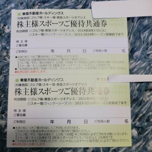 東急不動産ホールディングス株主優待券二枚　ハンターマウンテン　マウントジーンズ　ニセコ東急グラン.ヒラフ他