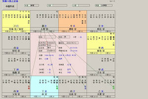 東洋占術シリーズ１４ 紫微斗数占星術２ 命盤 推命占断 ソフト