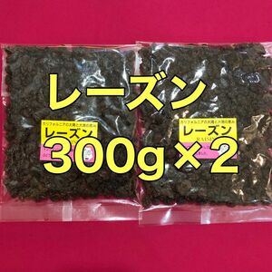 カリフォルニアレーズン300g×2干しぶどう　ドライフルーツ　果物　おやつ　間食