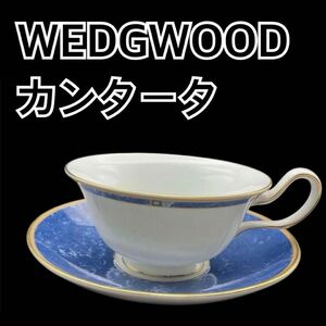 WEDGWOOD ウエッジウッド カンタータ ティーカップ&ソーサー