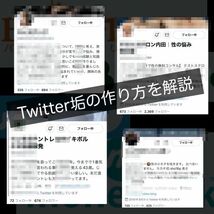 【やればやるほど稼げます】狙い目！Twitterで自動収益システムを作る！アダル●系コンプレックスビジネスで稼ぐ方法 /副業,在宅ワーク_画像6