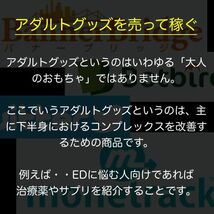 【やればやるほど稼げます】狙い目！Twitterで自動収益システムを作る！アダル●系コンプレックスビジネスで稼ぐ方法 /副業,在宅ワーク_画像4