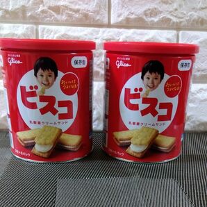 非常食・保存食・備蓄食・グリコ　 ビスコ保存缶 30枚入×2缶　賞味期限2028.3