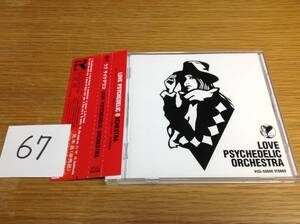 即決 非売品 プロモ promo only LOVE PSYCHEDELIC ORCHESTRA ラブ サイケデリコ ラブ・サイケデリック・オーケストラ アルバム 67