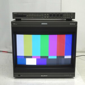 SONY BVM-D20F1J 20型マスターモニター BKM-10R付き（42HD HD-SDI/21D D1-SDI&コンポーネント）【中古/ヤケなし/動作 現状品】#390319