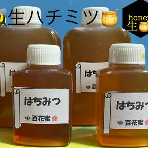 【Special SALE】☆ 自家製　生はちみつ　百花蜜90ml+30ml各2本計240ml （約360g） 非加熱 ☆