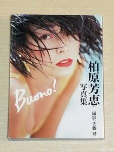 柏原芳恵 写真集『Buono!』竹書房 艶写文庫 2012年初版
