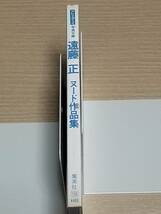 週刊プレイボーイ特別編集『遠藤正 ヌード作品集』プレイボーイ写真文庫 畑中葉子 中山貴美子 小田かおる イヴ 渡真美 上田まゆみ他_画像7