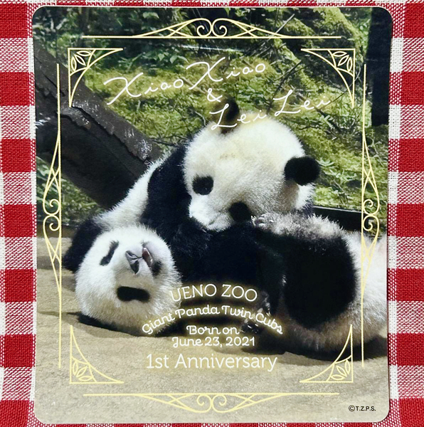 ＜新品♪＞☆上野動物園【シャオシャオ＆レイレイ１歳記念】ステッカー②☆ ／《送料無料》10.5cm×9cm・シール・シンシン・シャンシャン 