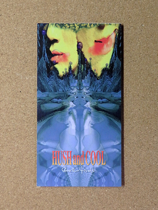 [中古盤8cmCD] 『HUSH and COOL / Guniw Tools』(VIDL-30353)