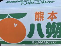 送料込み 熊本産 八朔 規格外 Mサイズ 箱込約10キロ 1/28発送予定 家庭用 _画像7
