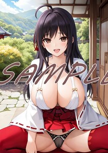 245 出水和琴 LOVELY×CATION2 A4 同人 イラスト 巨乳 美少女 コスプレ Anime アニメ イラストアートポスター セクシーアート acg.