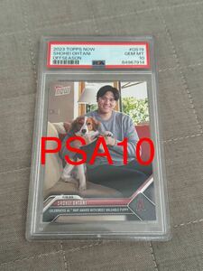 【PSA10】topps now 大谷翔平MVPデコピン 犬 愛犬 カード