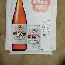 大塚寧々　KIRIN　キリン　春咲き生ビール　春期限定　立て看板　ポールなし　パネル　当時物　_画像4