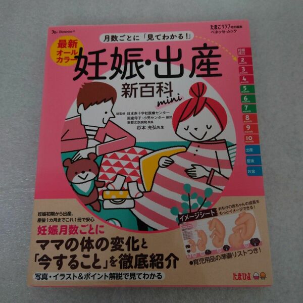 最新月数ごとに「見てわかる！」妊娠・出産新百科ｍｉｎｉ　妊娠初期から産後１カ月までこれ１冊でＯＫ！　たまひよ新百科シリーズ