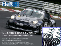 H&R ダウンサス VW パサート セダン 3C 3CCZE 3CCHH 3CDPC 4気筒ガソリン車用 2015/07～ フォルクスワーゲン Volkswagen ワーゲン 送料無料_画像3