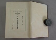 hh916 日本昆虫大図鑑 松村松年 刀江書院 1931年 昭和6年発行 古書 生物 昆虫 生き物_画像5