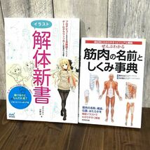 本 2冊セット 「イラスト解体新書」 「筋肉の名前と仕組み事典」ダテナオト 弐藤潔 肥田岳彦 山田敬喜 骨格 筋肉 ブック BOOK 単行本 書籍_画像1