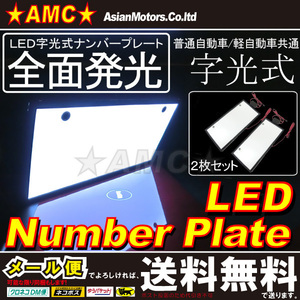 LED字光式ナンバープレート 前後2枚 普通車 軽自動車 送料無料 LEP-JK01W-2P A1166P