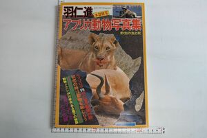 65N045「羽仁進 アフリカ動物写真集 野生の生と死」いんなあとりっぷ社 昭和51年