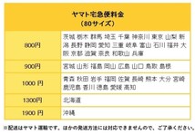 65N063「山之口貘全集 全4巻揃」山之口貘 思潮社 1975年-1976年 すべて初版_画像6