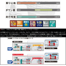 TANABEサステックプロCR車高調整キット NE51エルグランド 02/5～10/8_画像3