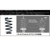 TANABEサステックプロCR車高調整キット ZNM10Gアイシス 04/9～09/9_画像4