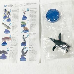 サンシャイン水族館限定　ケープペンギン　内袋未開封品　解説書付　日本水族館立体生物図録　アクアテイルズ