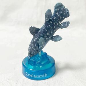 深海生物2 フィギュアコレクション　シーラカンス　アクアテイルズ 海洋堂　