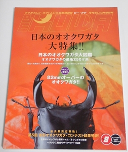 BE KUWA ビークワ No.8■日本のオオクワガタ大特集｜日本縦断採集記／産地250ヶ所／ヘラクレス雌雄／マルバネの飼育／テナガコガネ7種