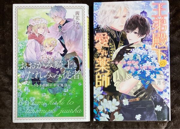 リンクスロマンス BL小説 2冊セット 茜花らら 夕映月子