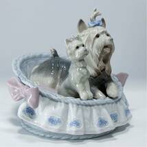 【絶版】LLADRO リヤドロ 陶器 犬 ヨークシャーテリア 6469 美品_画像2