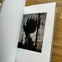 ◆Color Photograph　＜限定500部 ＞◆Daido Moriyama [撮影]◆森山大道◆SUPER LABO◆2011年_画像5